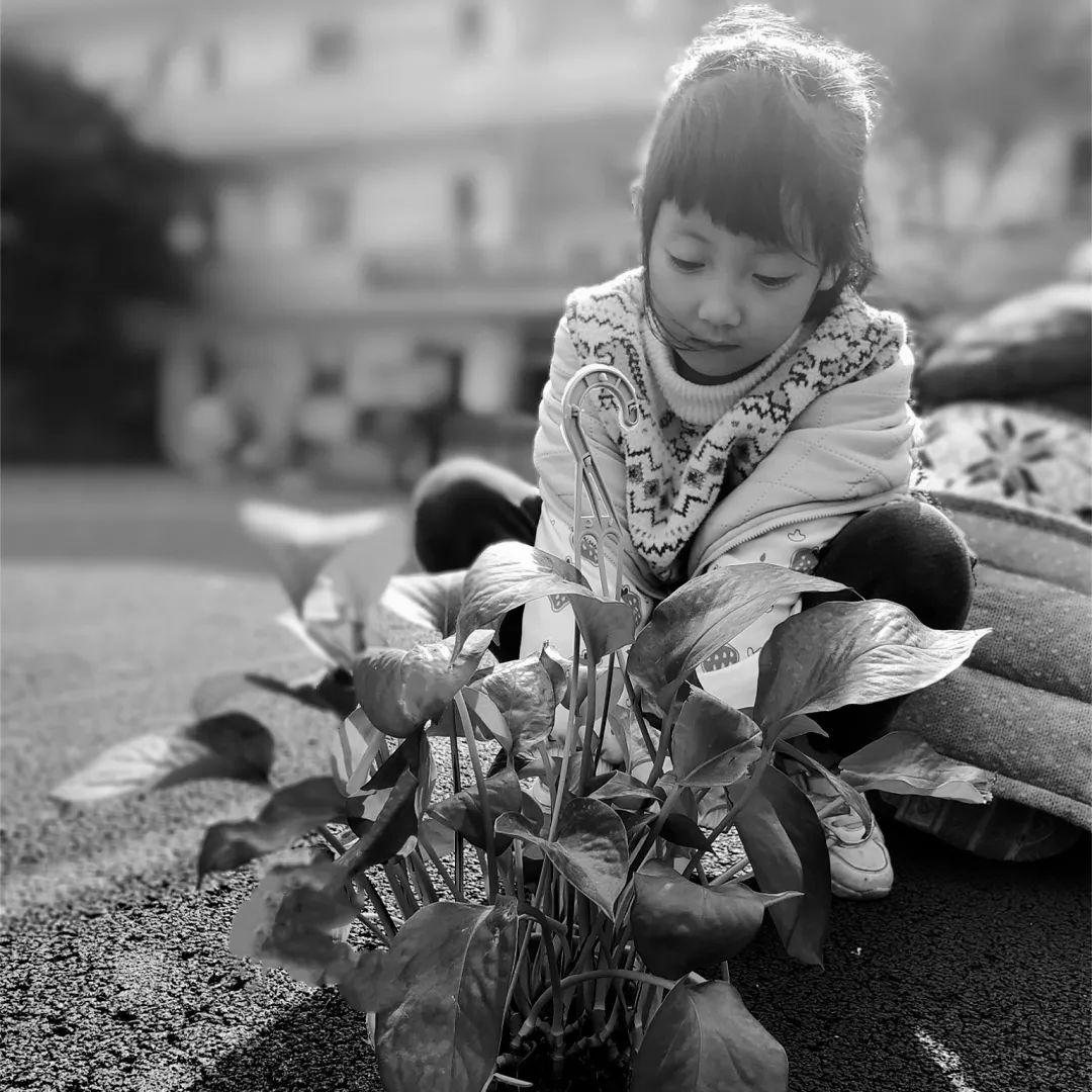 美呆了！校园秋日美景，第二弹~