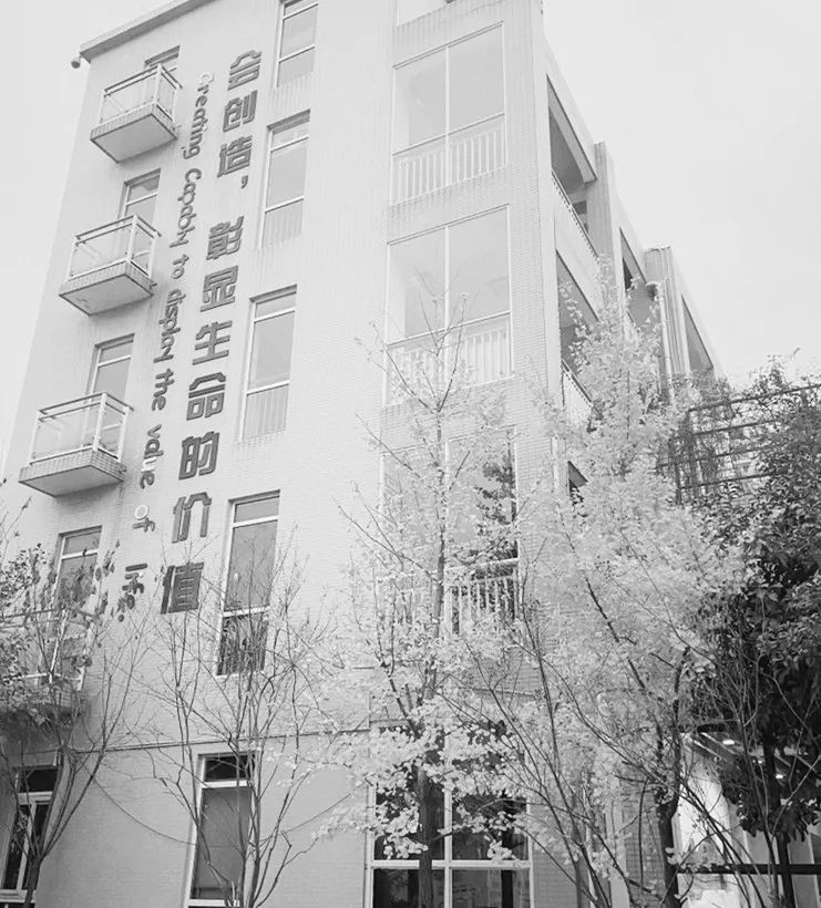 美呆了！校园秋日美景，第二弹~