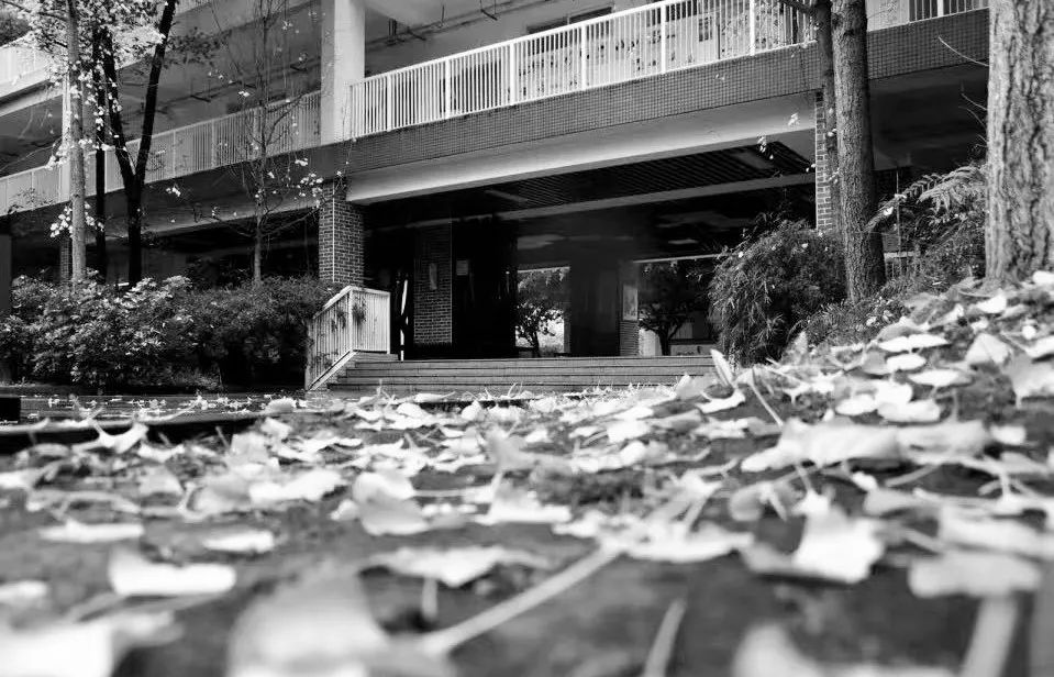 美呆了！校园秋日美景，第二弹~