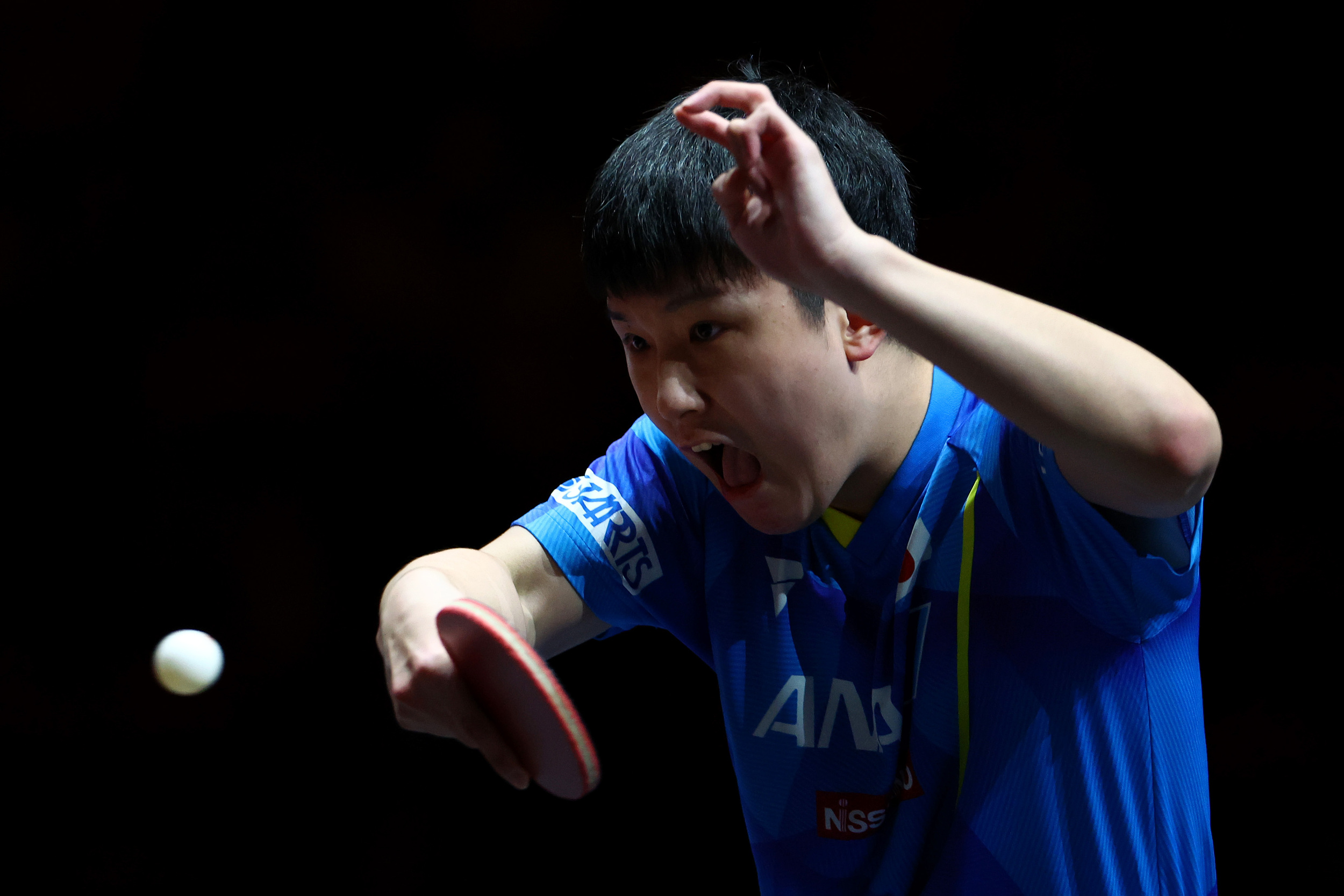 wtt世界杯每届男单冠军（樊振东战胜张本智和，夺得WTT世界杯决赛男单冠军）