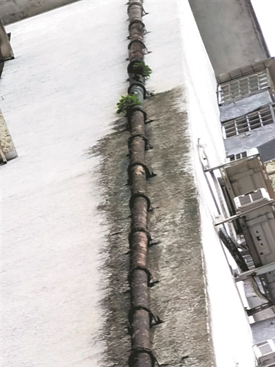 房屋漏水怎么办,房屋漏水怎么办 房屋漏水处理方法