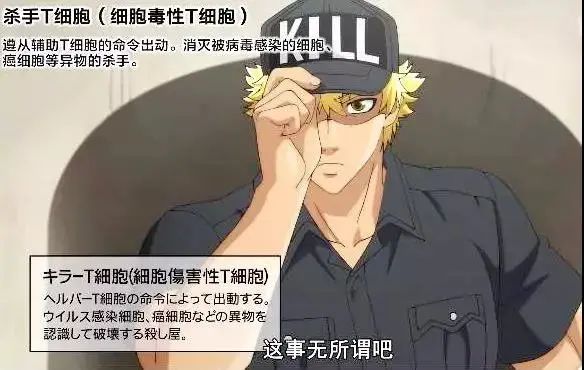 当心！血常规报告有这3种箭头，可能是…白血病！