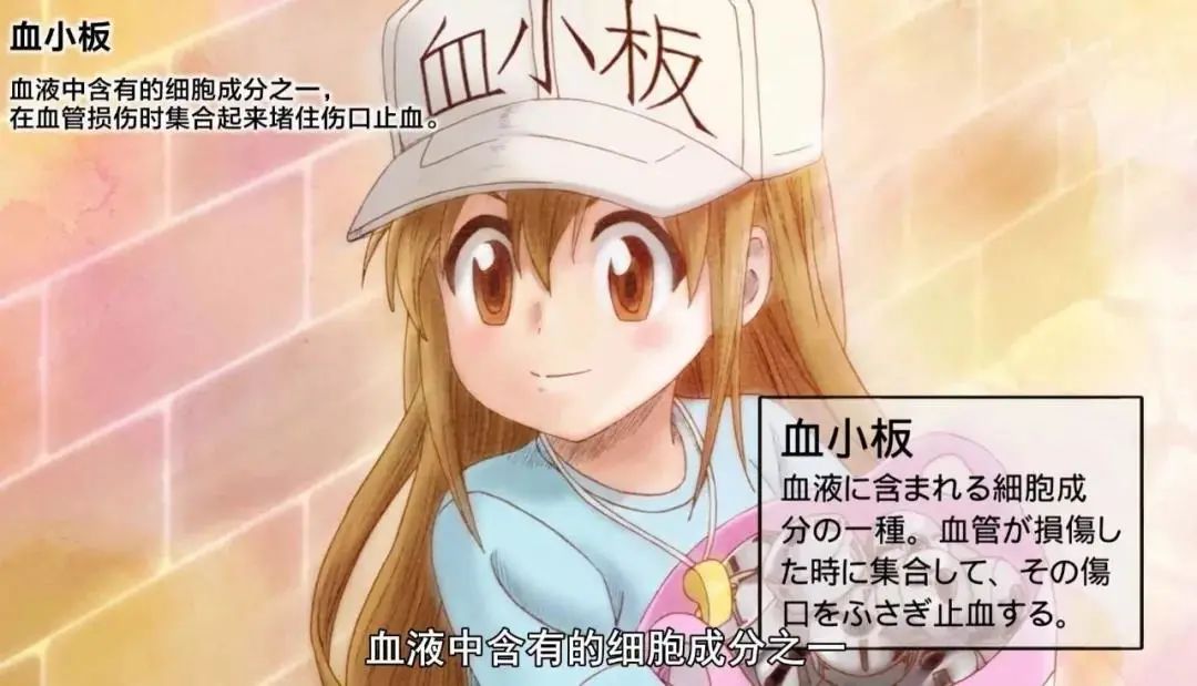当心！血常规报告有这3种箭头，可能是…白血病！