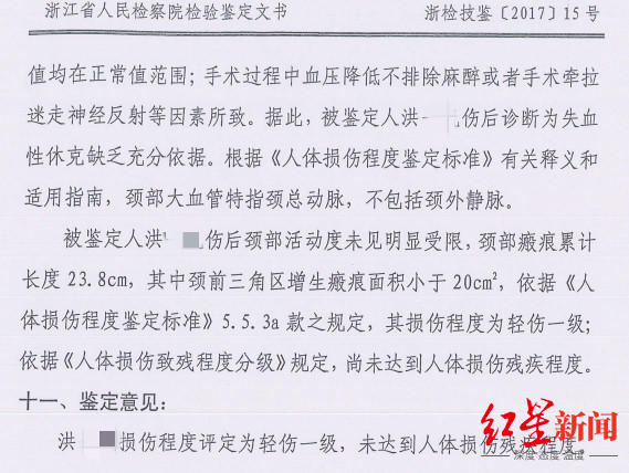 轻伤鉴定,轻伤鉴定标准