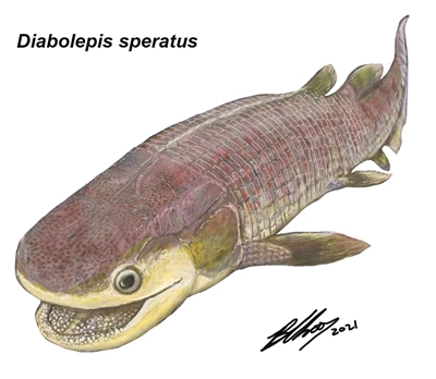希望奇异鱼：最早、最原始的肺鱼类化石