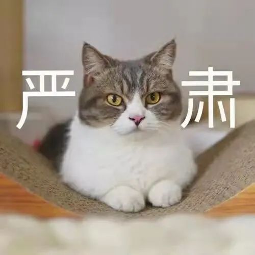 重中型货车司机必读：严禁超载违规驾驶安全行车指南
