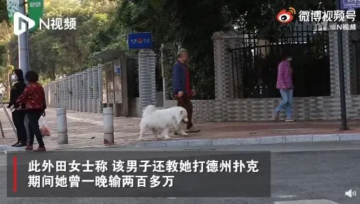 广州28岁女子恋爱1年被骗近千万，到底发生了什么？