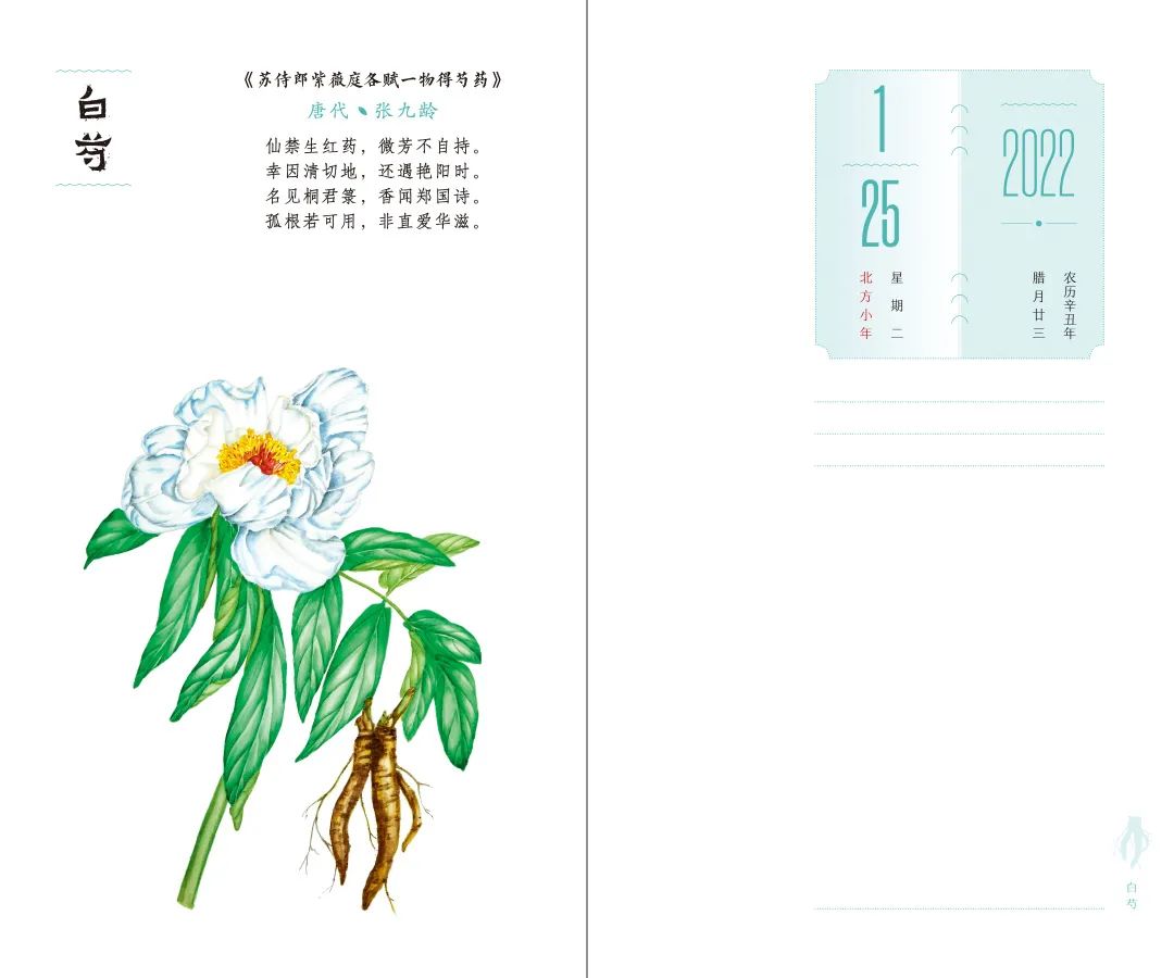 设计者说｜本草光阴2022中医药文化日历「内含文末福利哟~」