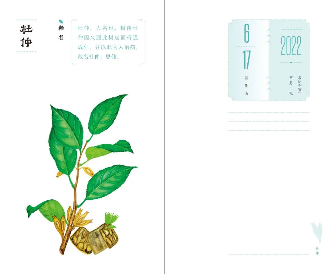 设计者说｜本草光阴2022中医药文化日历「内含文末福利哟~」