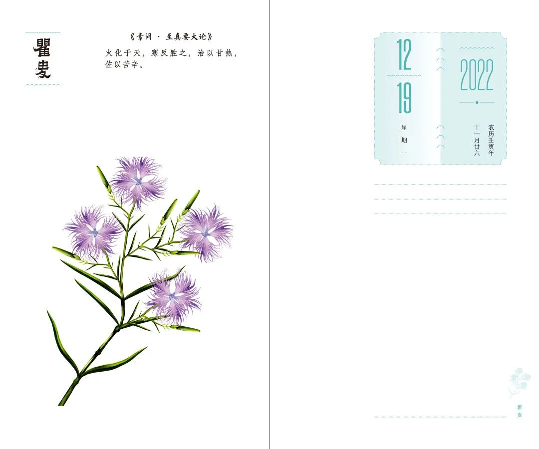 设计者说｜本草光阴2022中医药文化日历「内含文末福利哟~」