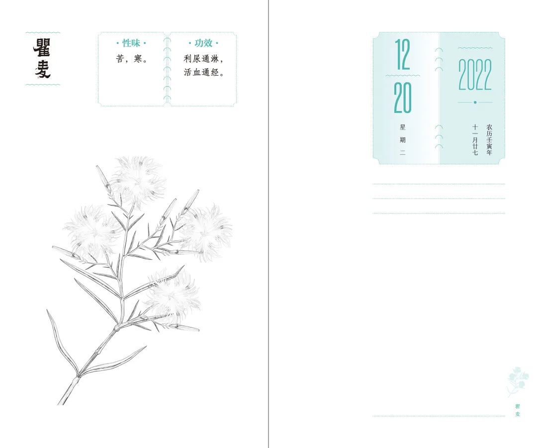 设计者说｜本草光阴2022中医药文化日历「内含文末福利哟~」