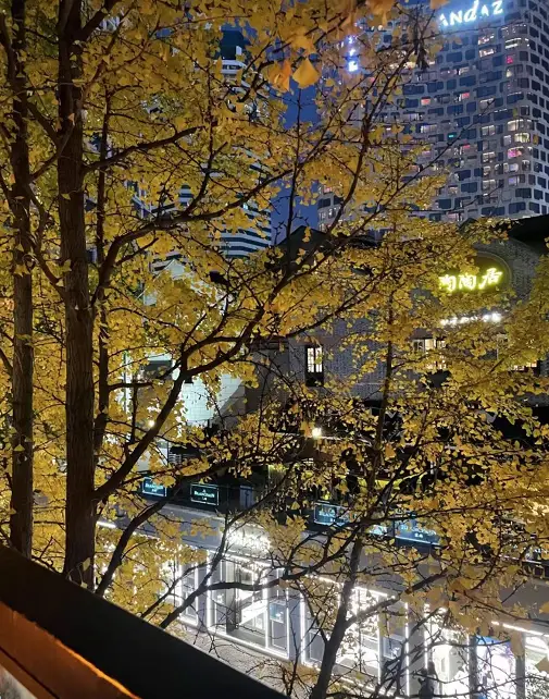 又一家知名餐企倒了！网红餐厅“新元素”被曝破产清算，曾被评为沪上“更佳餐厅”