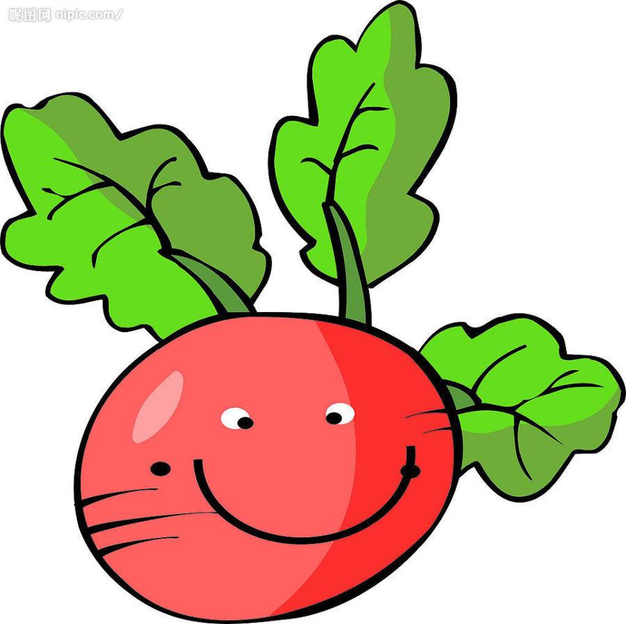 那天回老家,哥嫂说买了些水萝卜,让我带几个回去吃.