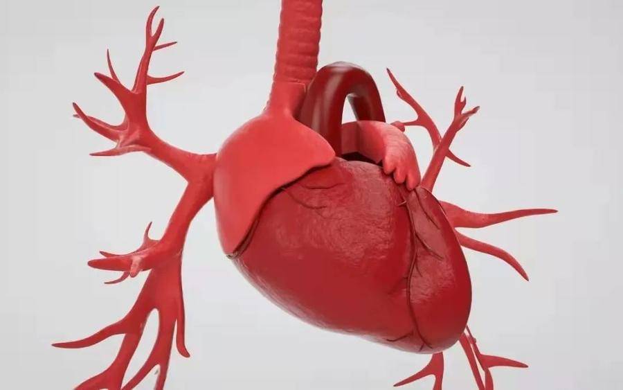 心脏起搏器,心脏起搏器手术费用多少
