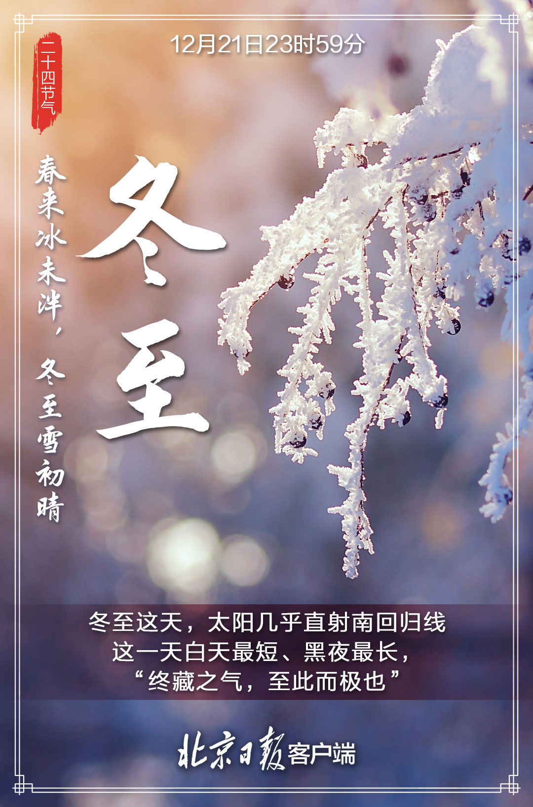 今日冬至！在最长的冬夜，等一场春的照面