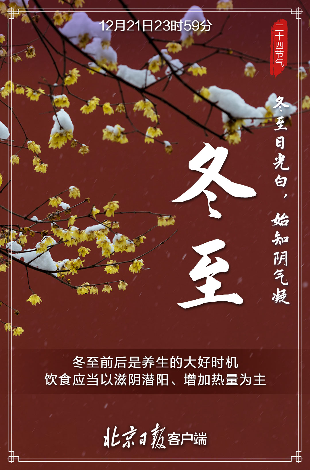 今日冬至！在最长的冬夜，等一场春的照面