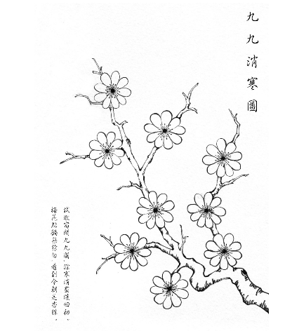 长岭马大勇案图片