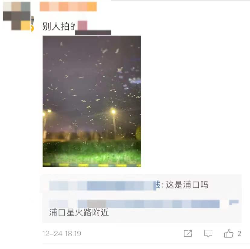 初雪已至！南京雪花“拍了拍”你，你看到了吗？