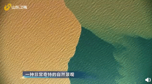 被安利的……都想去山东旅游了