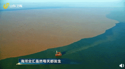 被安利的……都想去山东旅游了