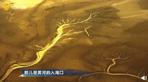 被安利的……都想去山东旅游了