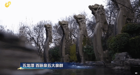 被安利的……都想去山东旅游了