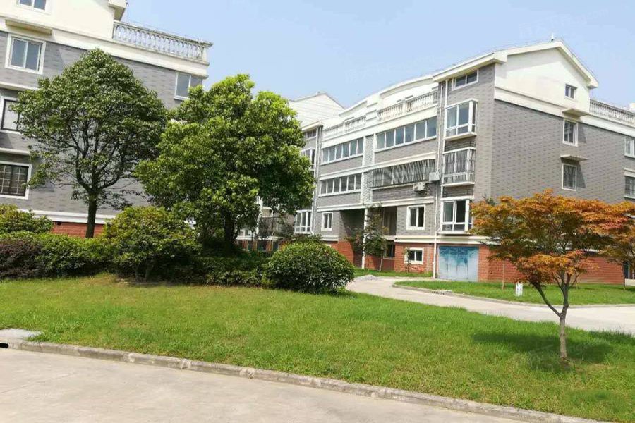 水绘曦园 VS 金磨华庭谁是你的菜？