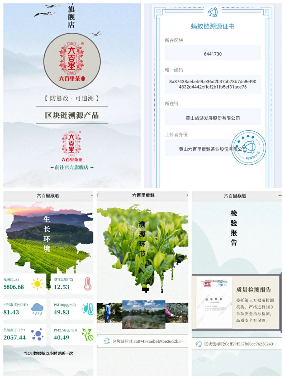 从“茶园”到“茶杯”！黄山茶叶实现全链条溯源