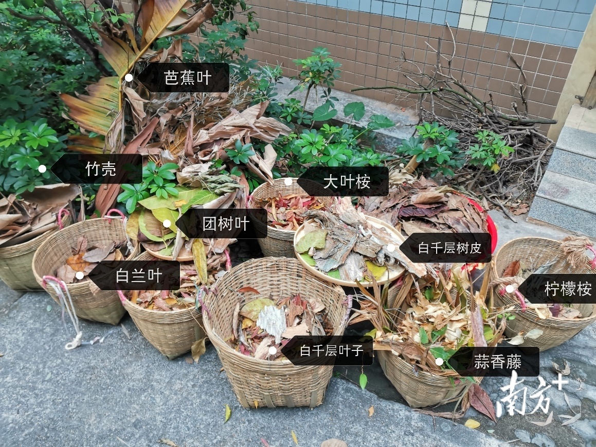 广州儿童动物园