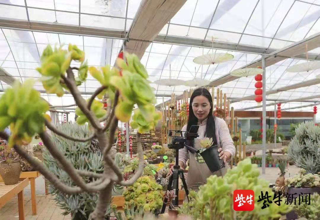 一位創(chuàng)業(yè)者的華麗轉身：從垃圾里“淘金”到“多肉”綠色致富