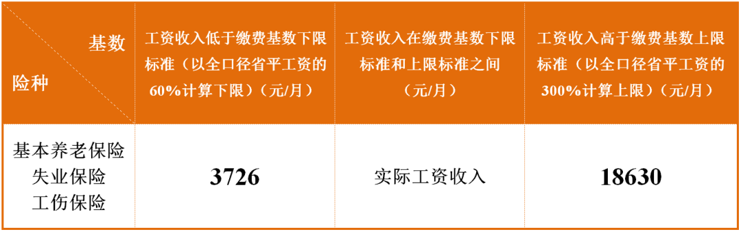 社会保险缴费比例,社会保险缴费比例各是多少