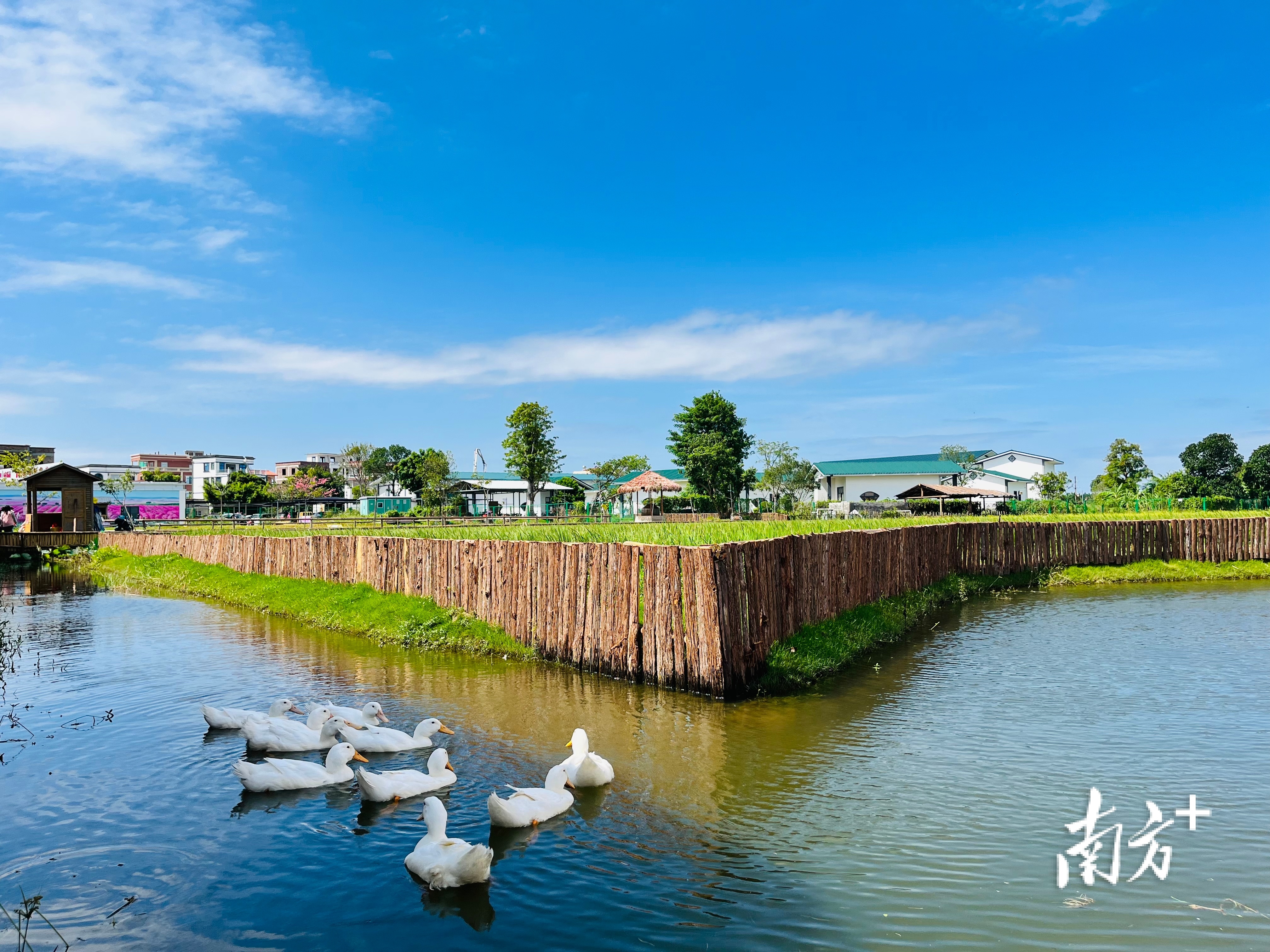 春节南方旅游景点大全