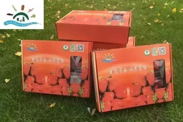 颜值高、有内涵！GET这份“崇明版”新年伴手礼清单