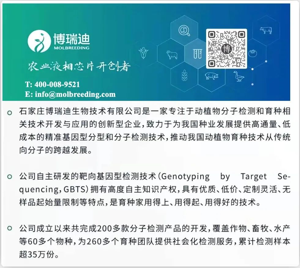 原创解读｜小麦白粉菌无毒基因AvrPm17的变异使Pm17丧失持久抗病性