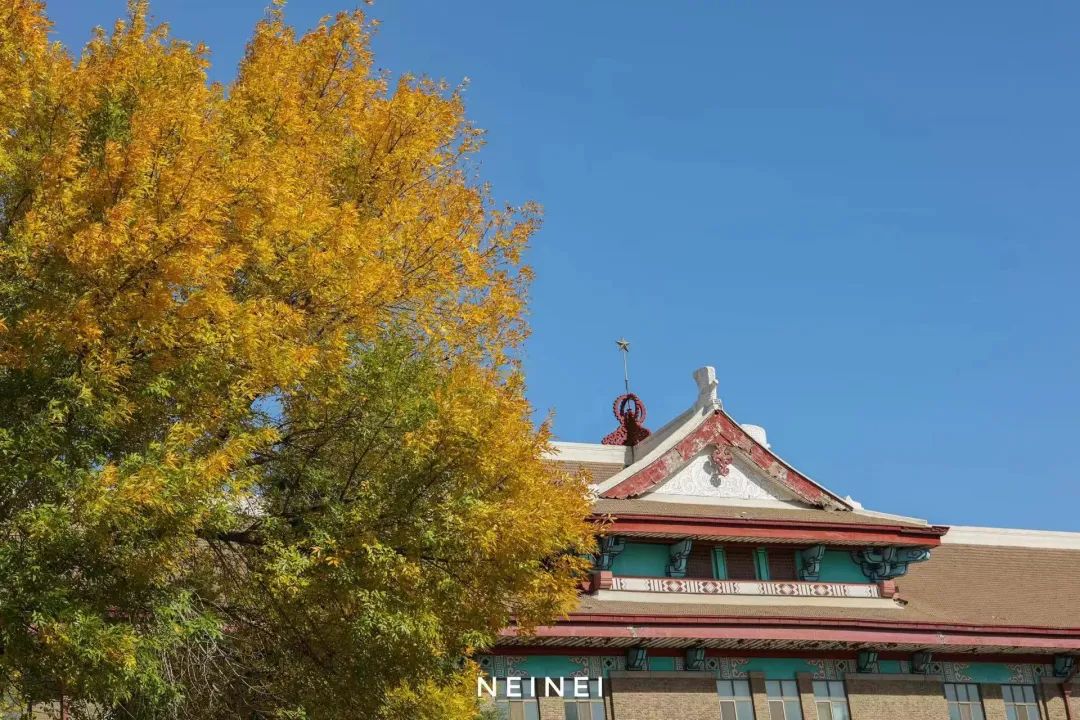 逐梦研途，天大同行：励志前行，共铸辉煌未来