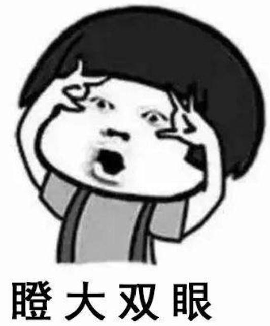 汽车租赁诈骗,汽车租赁诈骗案件实例