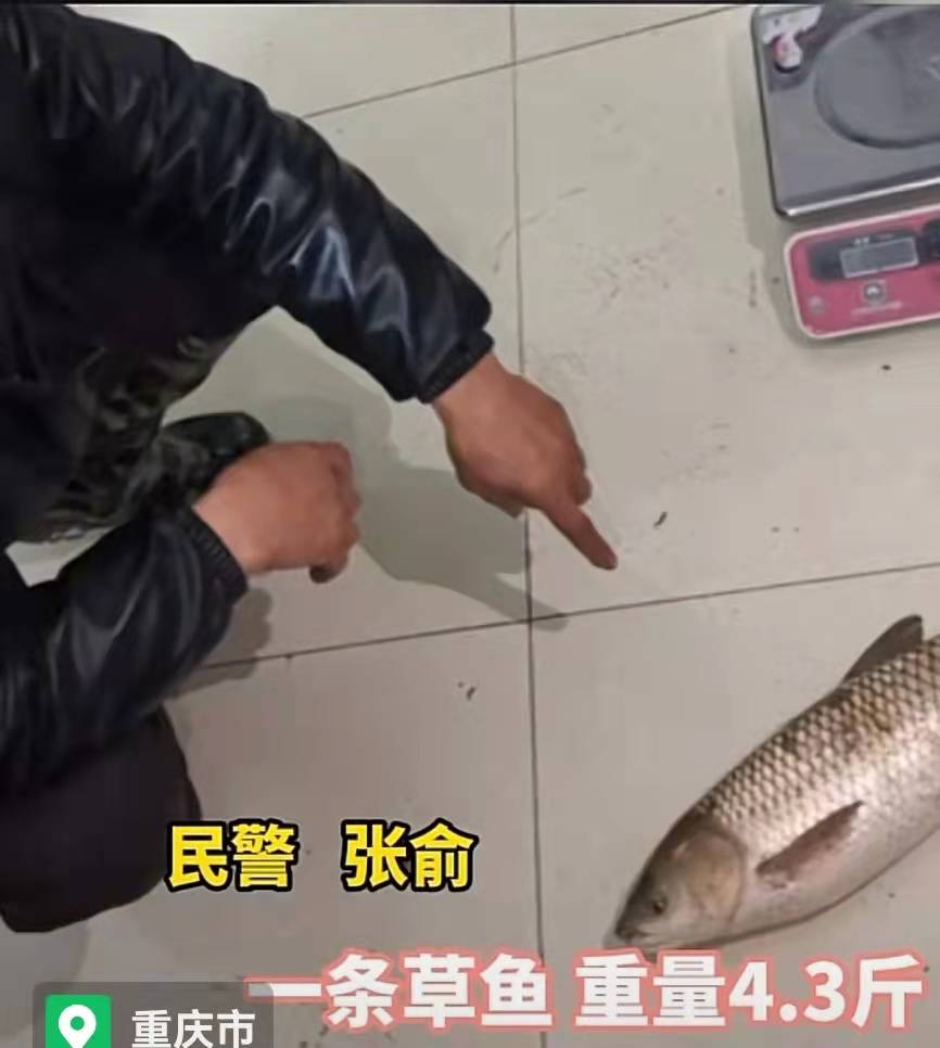 重庆男子钓一条草鱼被刑拘，他用了这种可怕的工具