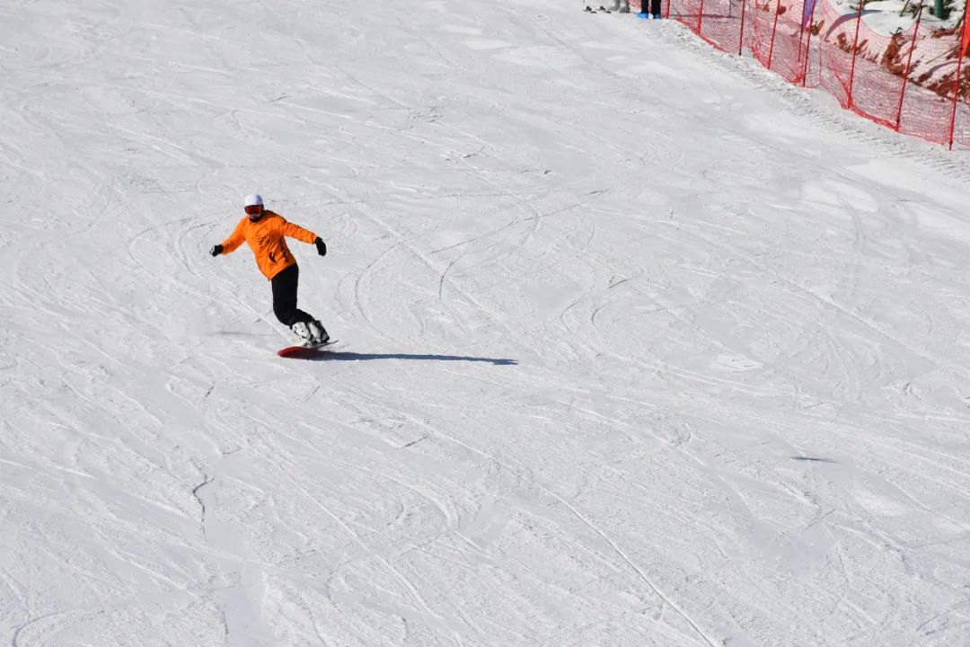 想滑雪？不必跨越南北！