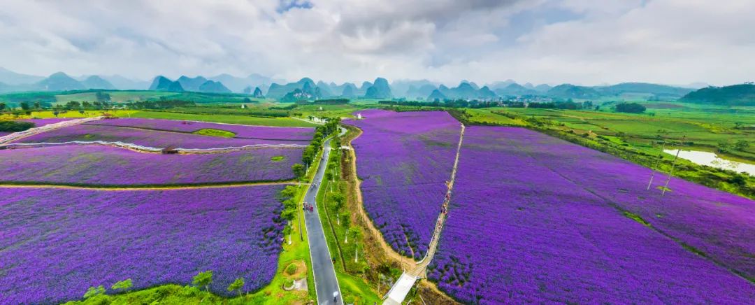 广西第一的“天然氧吧”，就藏在大瑶山的秘境里春节在广西怎么玩