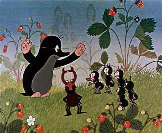 《鼹鼠的故事》| 影片里的植物世界