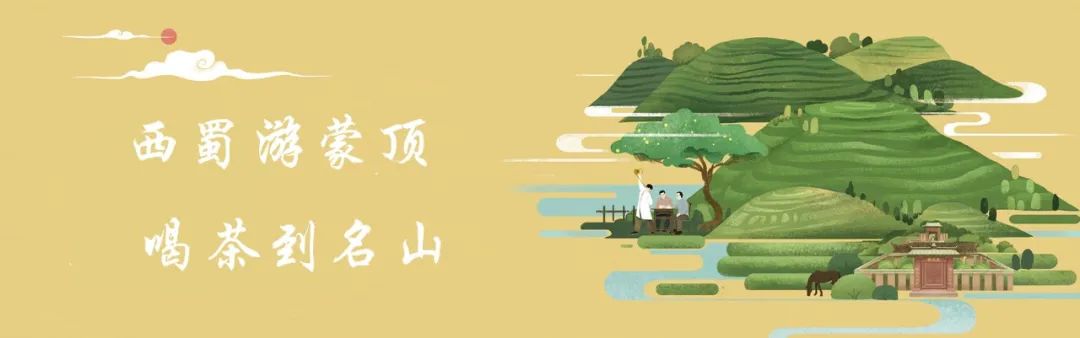 【来雅“森”呼吸，名山欢迎您】唯是茶岸，不怕南风热！