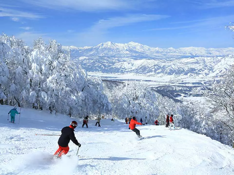 日媒：国际游客仍然不见踪影，日本的滑雪胜地努力活着