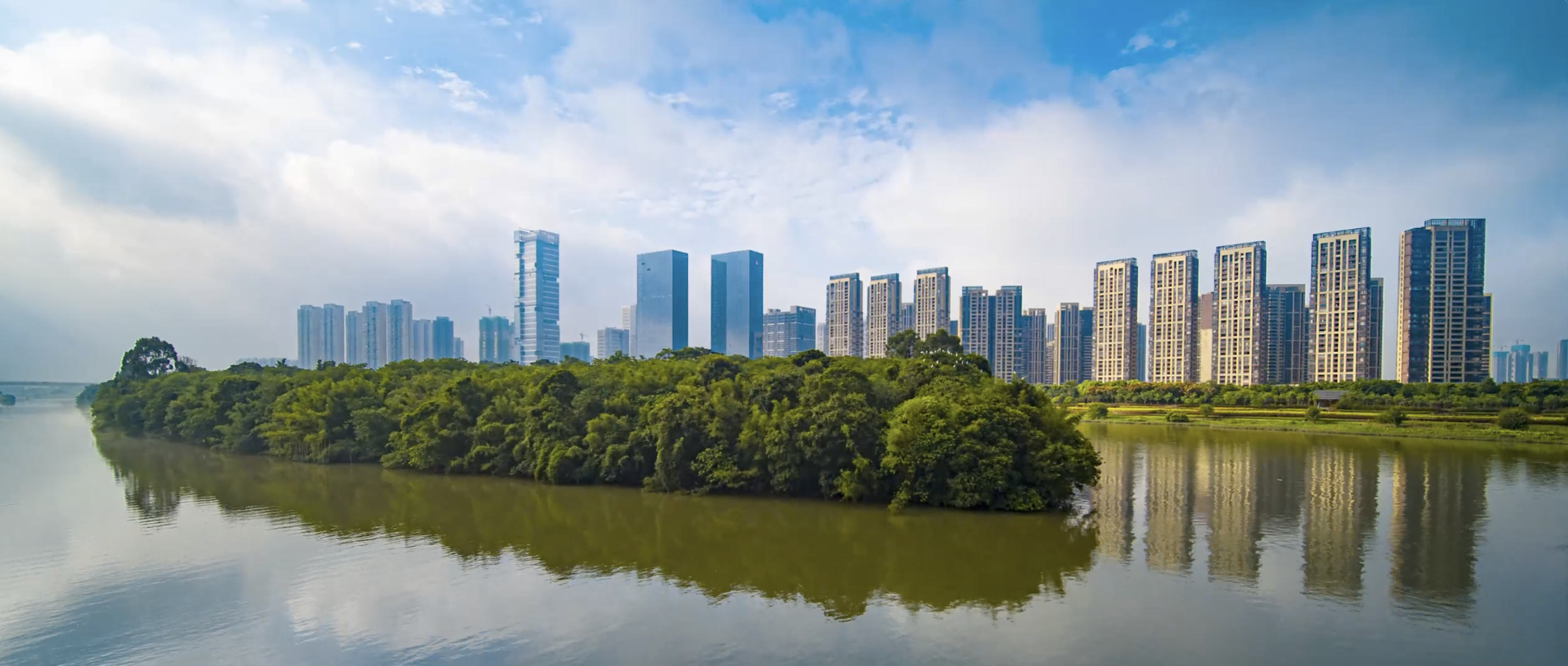 半城山水满城绿！三龙湾顺德片区，打造一流营商环境的排头兵