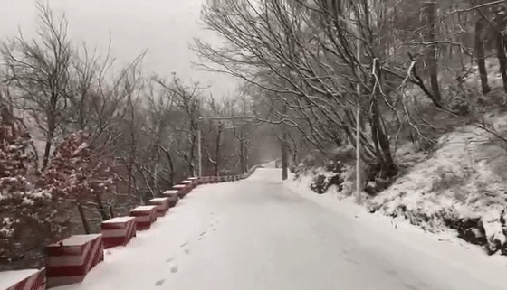 注意！武汉今天这场雪越下越大，气温要降至0℃以下……