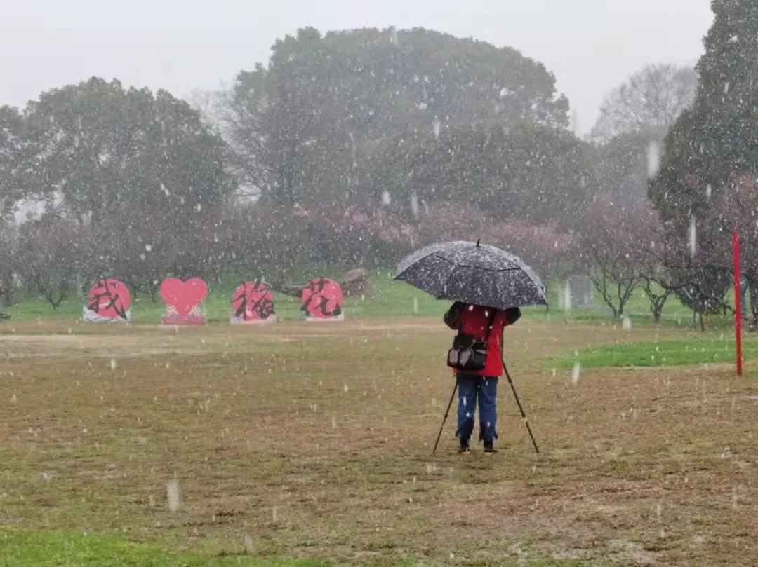 注意！武汉今天这场雪越下越大，气温要降至0℃以下……