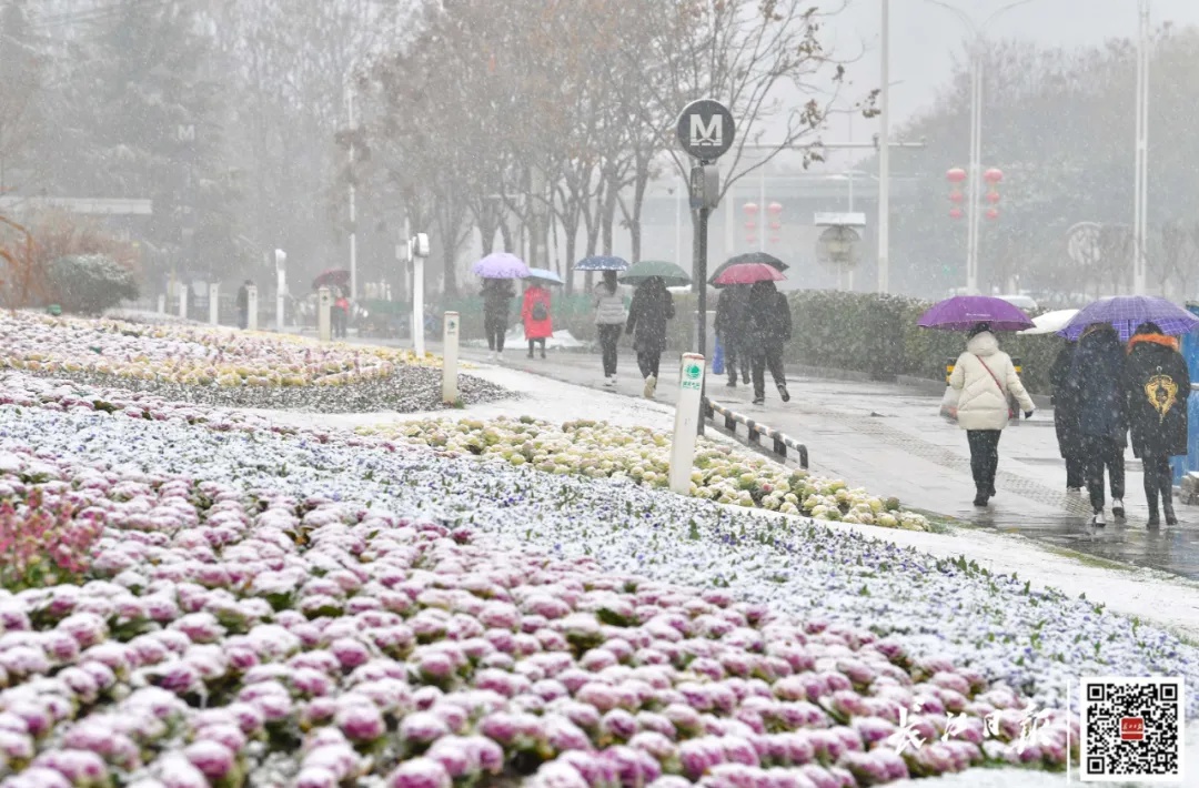 注意！武汉今天这场雪越下越大，气温要降至0℃以下……