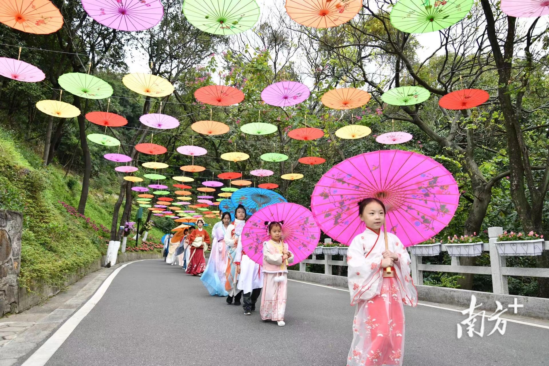云山兰韵，白云山摩星岭2022年兰花展绚丽亮相