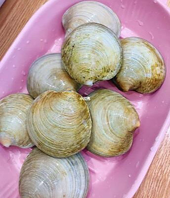 月亮贝怎么做好吃绝对不会出错的月亮贝做法