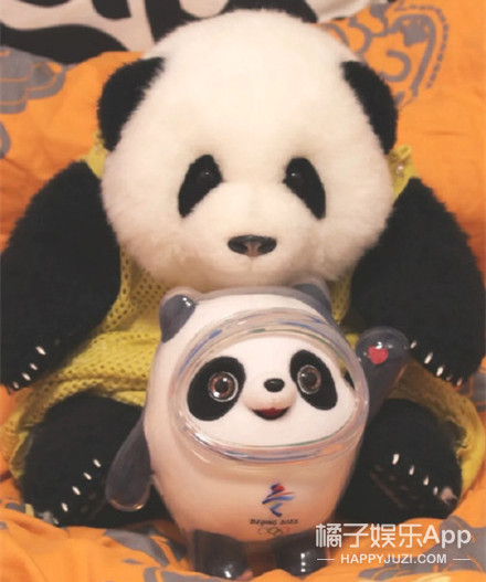 日本记者是他最大粉丝？冬奥吉祥物冰墩墩成功出圈，实在太可爱了