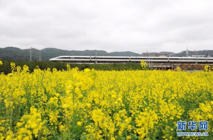 朱爽生‖田野春韵